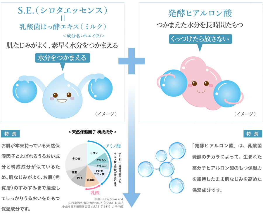 はっ酵のチカラ