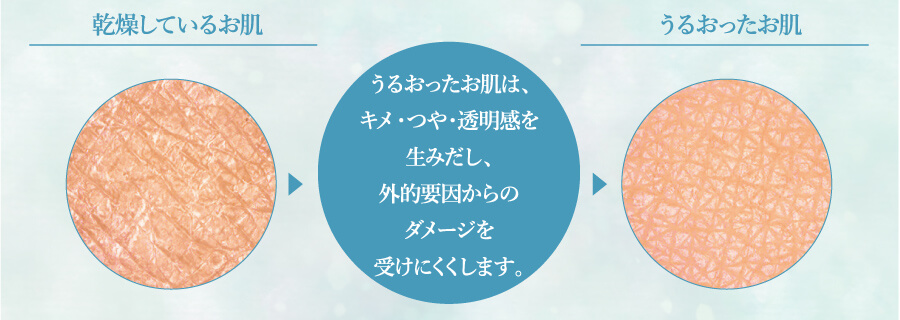 乾燥しているお肌 うるおったお肌