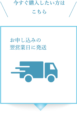今すぐ購入したい方はこちら